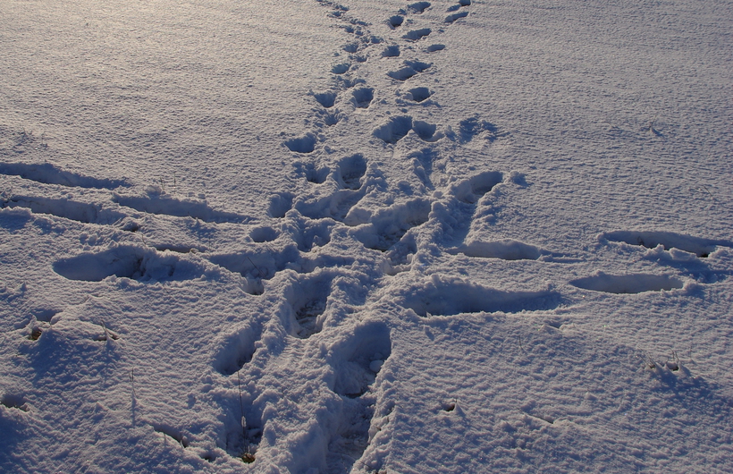 Icy Weather Warning The Churches Conservation Trust